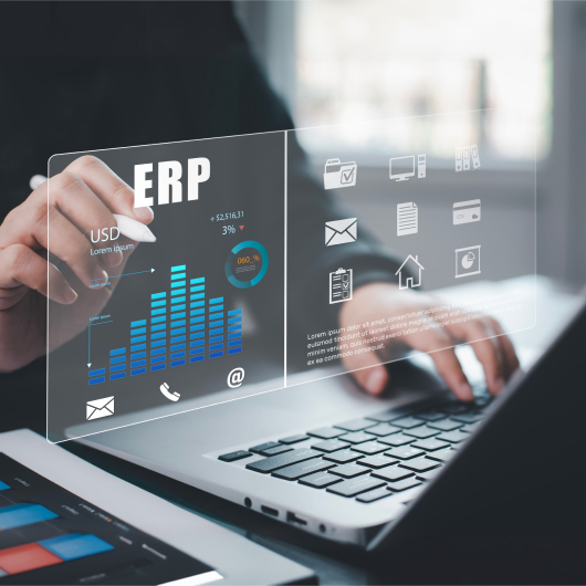 AI-driven ERP consulting for Hi-Tech, Telecom, and high-growth tech sectors.